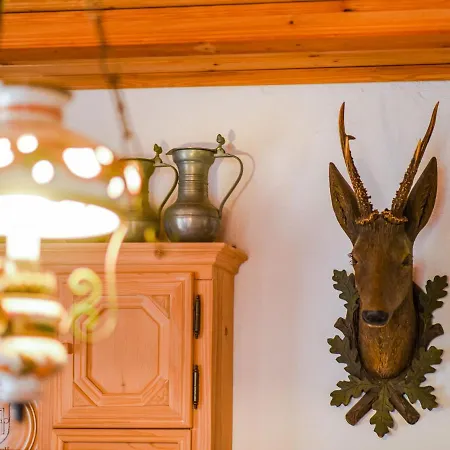 Cosy In Schwarzenberg Im Bohmerwald Near Ski Area Daire *