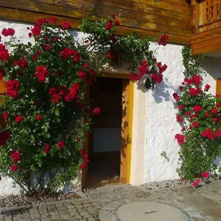 Cosy In Schwarzenberg Im Bohmerwald Near Ski Area